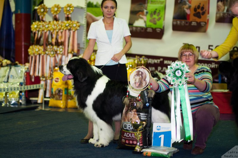 Фотография № 196492