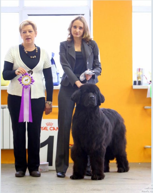 Фотография № 196519