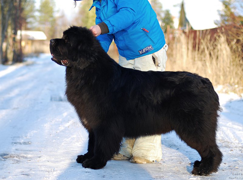 Фотография № 196552