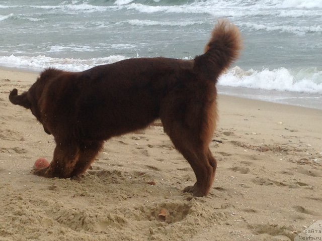 Фотография № 196554