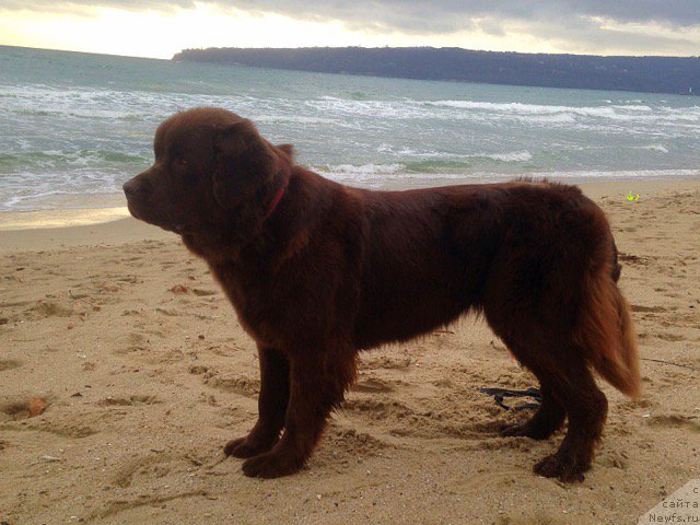 Фотография № 196556