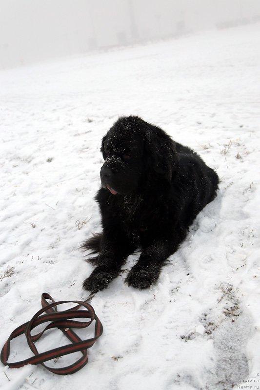 Фотография № 196568