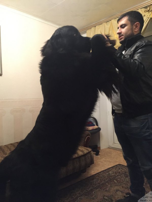 Фотография № 196583