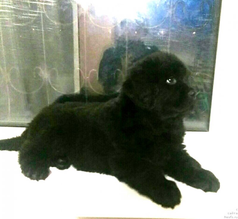 Фотография № 196587