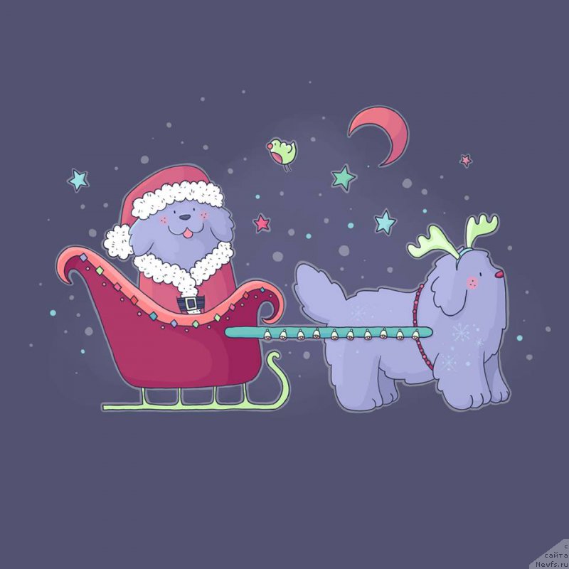 Фотография № 196608