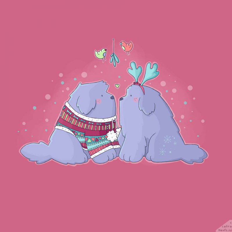 Фотография № 196609