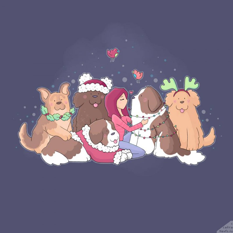 Фотография № 196610