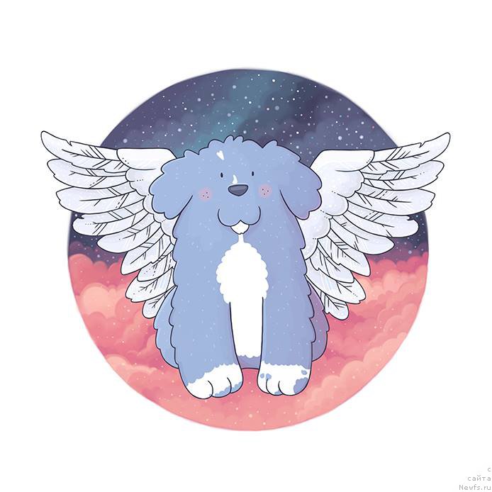 Фотография № 196611