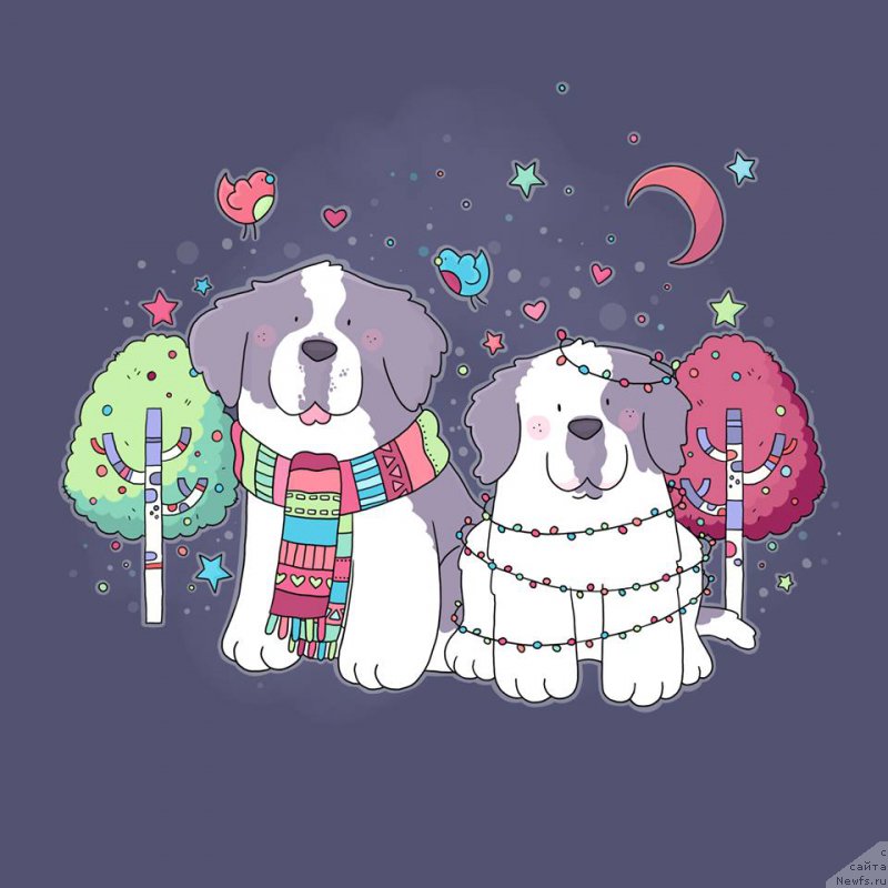 Фотография № 196613