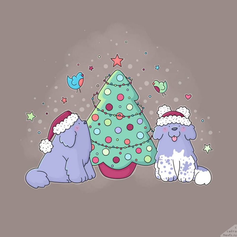 Фотография № 196614