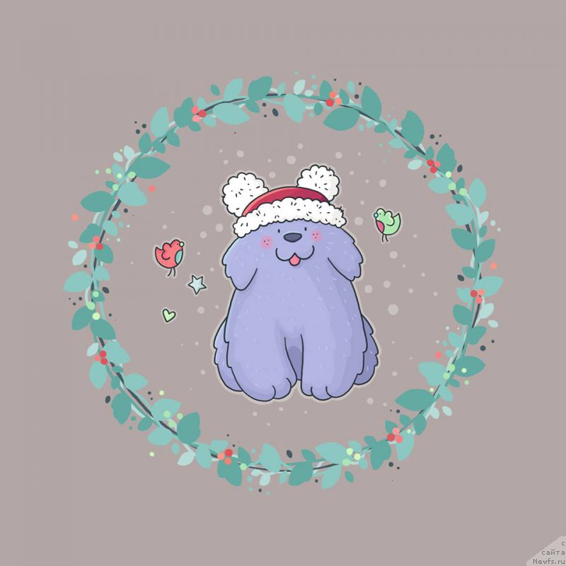 Фотография № 196616