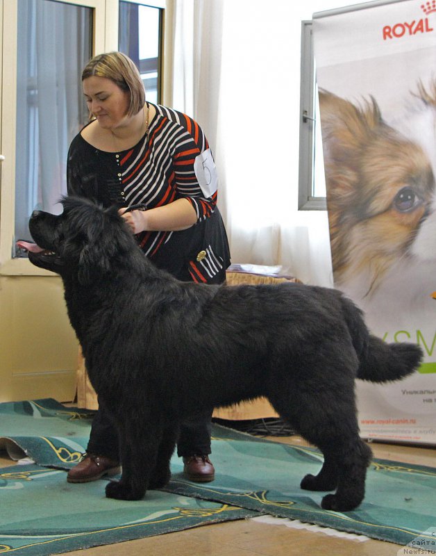 Фотография № 196630