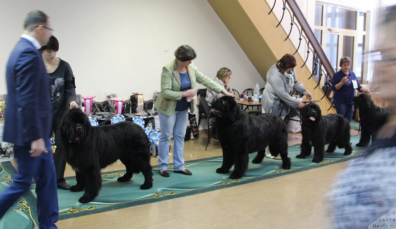 Фотография № 196646