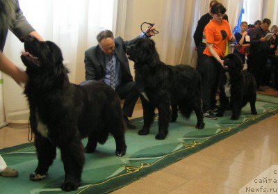 Фотография № 196654