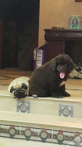 Фотография № 196664