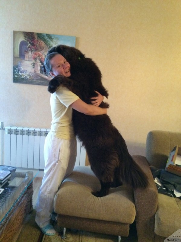 Фотография № 196667