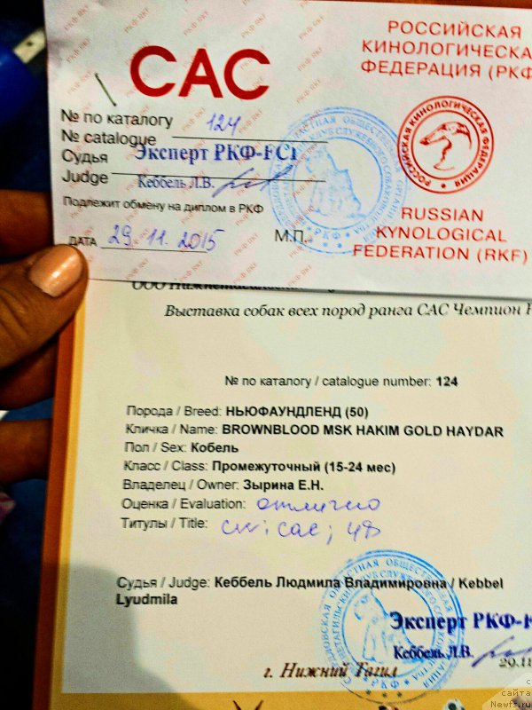 Фотография № 196683