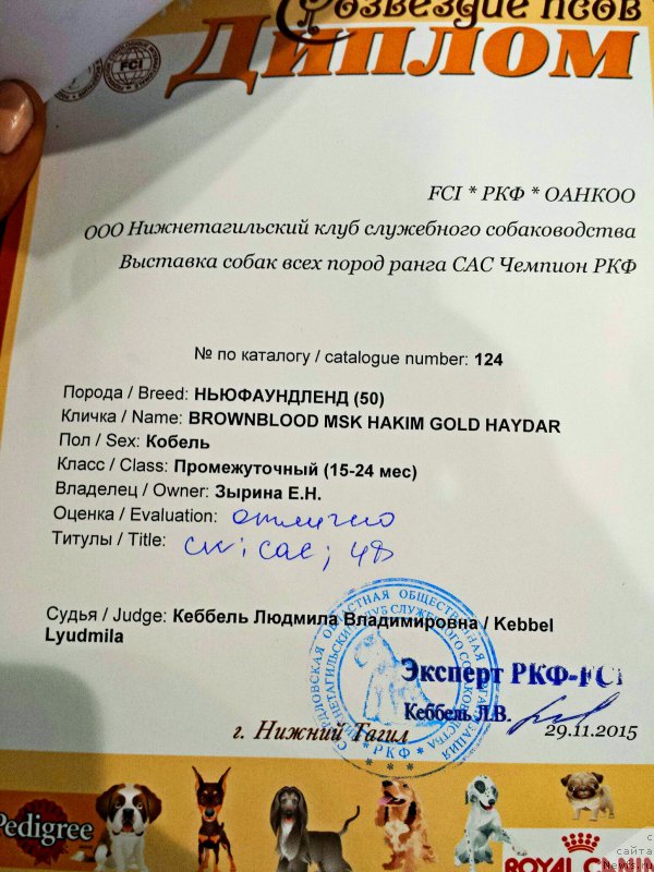 Фотография № 196684