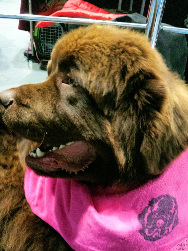 Фотография № 196687