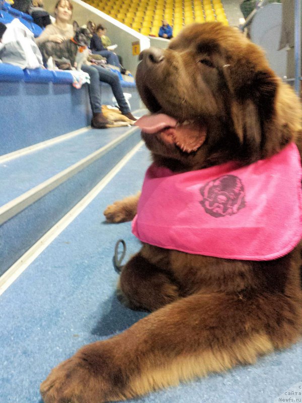 Фотография № 196688