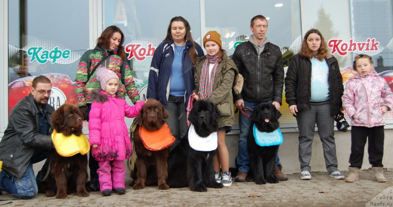 Фото: ньюфаундленд Мерседес Вялiкi Мядзведзь (Mercedes Vialiki Miadzvedz), ньюфаундленд Браунблад МСК Харрикейн Хиггенс (Brownblood MSK Harricane Higgins), ньюфаундленд Браунблад МСК Хриса Хаккет Оллен (Brownblood MSK Hrica Hacket Ollen), Тийа Тыниссон, ньюфаундленд Браунблад МСК Жани Ошер (Brownblood MSK Zhani Osher), Мария Шмелева, Елена Яковлева, Елена Спирюкова