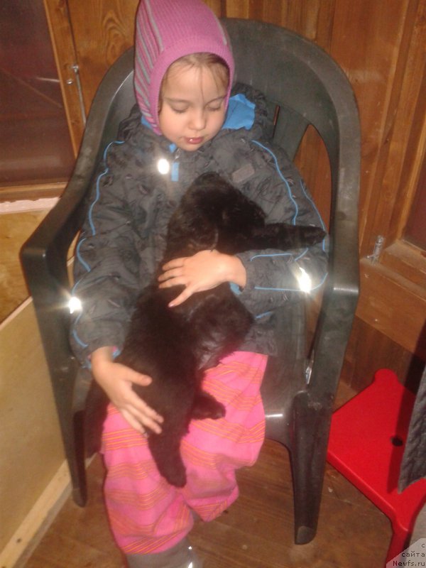 Фото: дети, ньюфаундленд Калина Красная из Антаграда