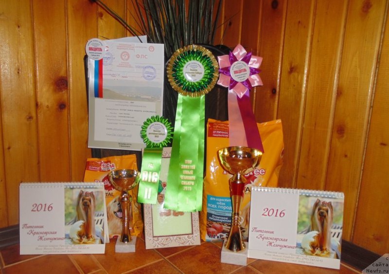 Фотография № 196754