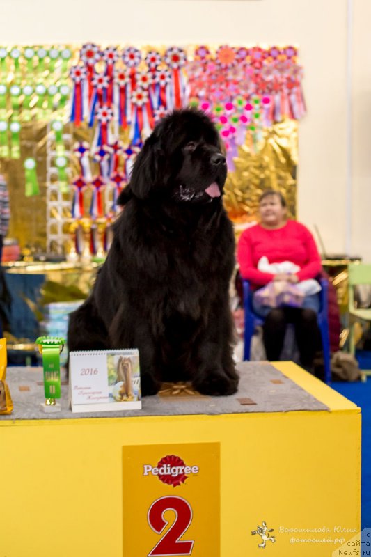 Фотография № 196759