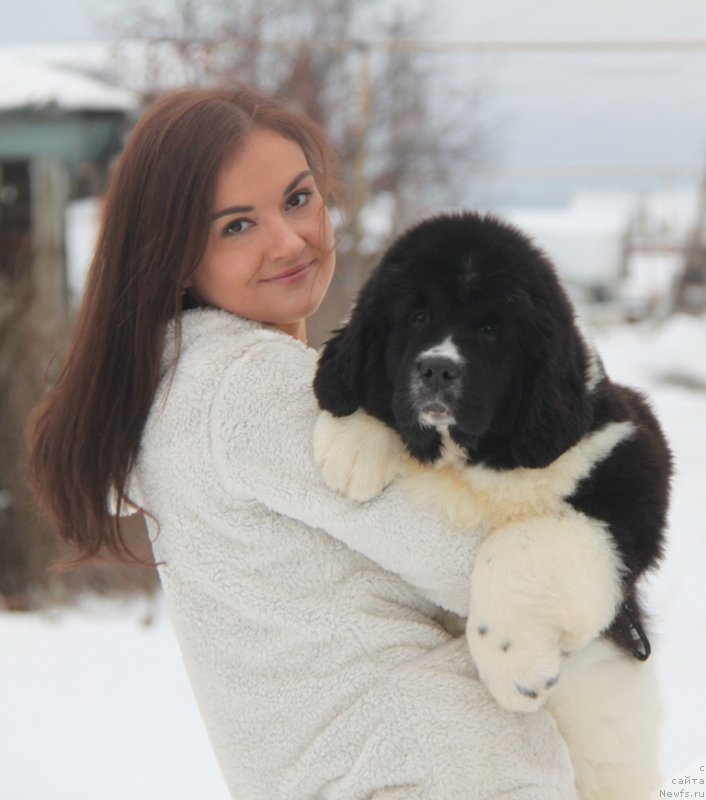 Фотография № 196762