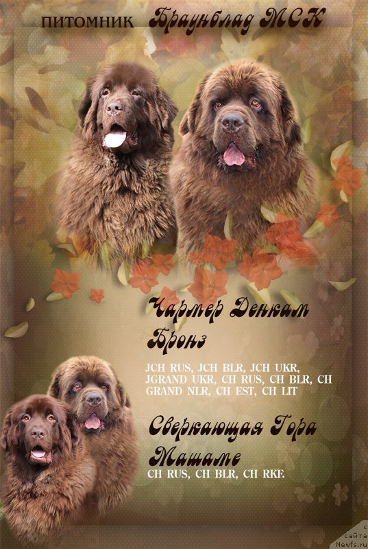 Фотография № 196777