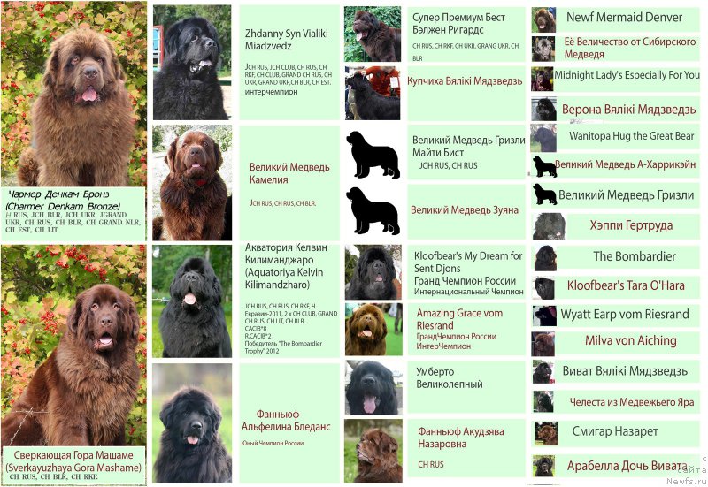 Фотография № 196778