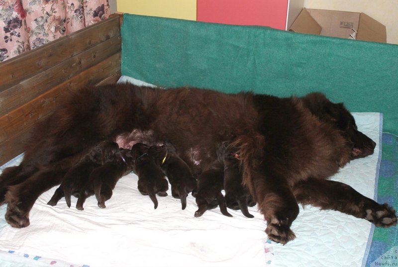 Фотография № 196783