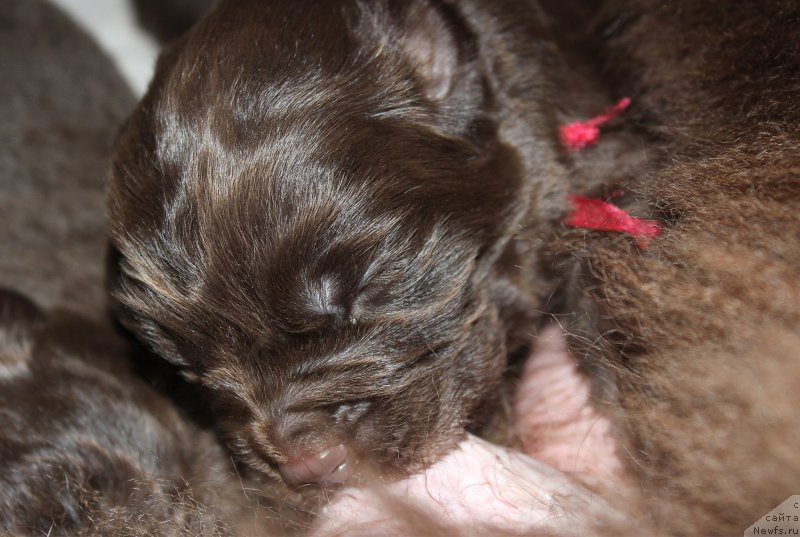 Фотография № 196784