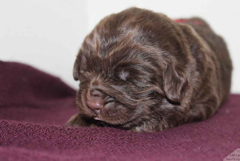 Фотография № 196787