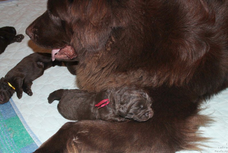 Фотография № 196788