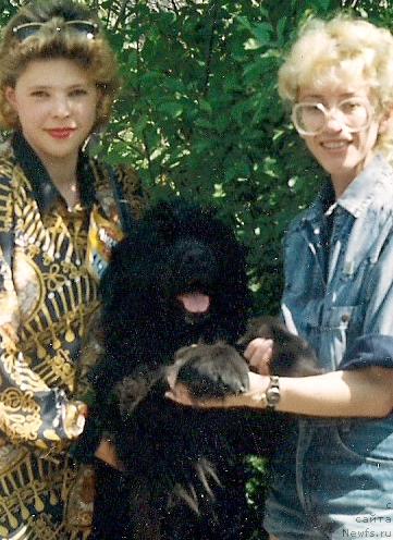 Фото: ньюфаундленд Тэтти Елбар