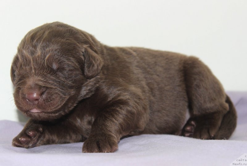 Фотография № 196800