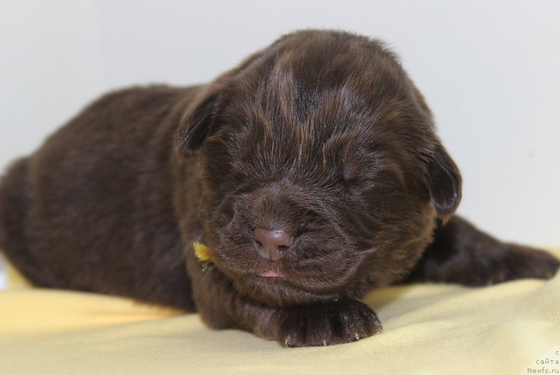 Фотография № 196803