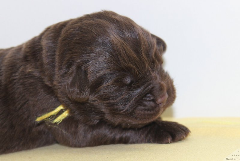 Фотография № 196804