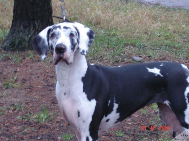 Фотография № 19681