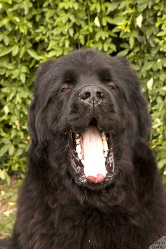 Фотография № 196811