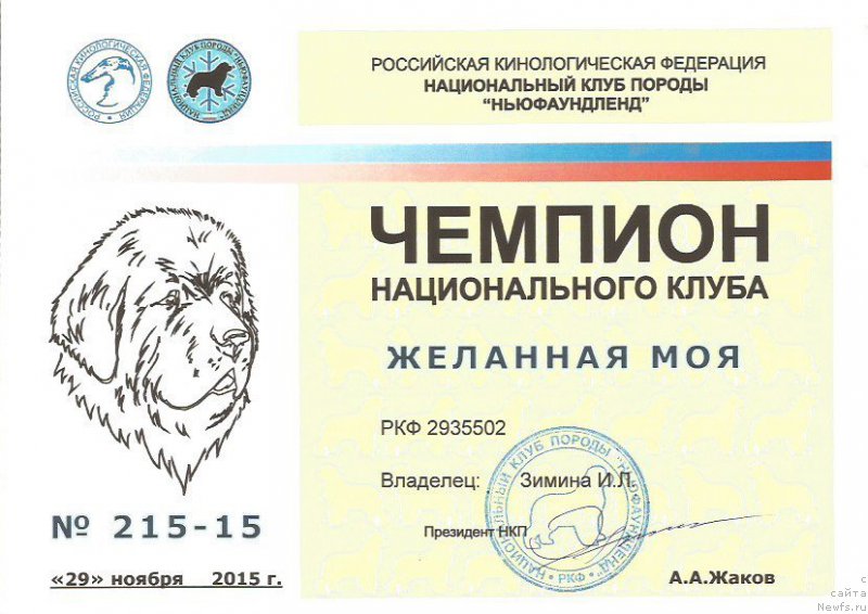 Титул чемпиона нкп. Ркф стандарт американская акита. Грамота чемпиону. Юный чемпион национального клуба породы. Юный чемпион национального клуба породы.