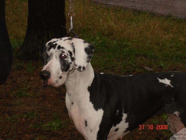 Фотография № 19682