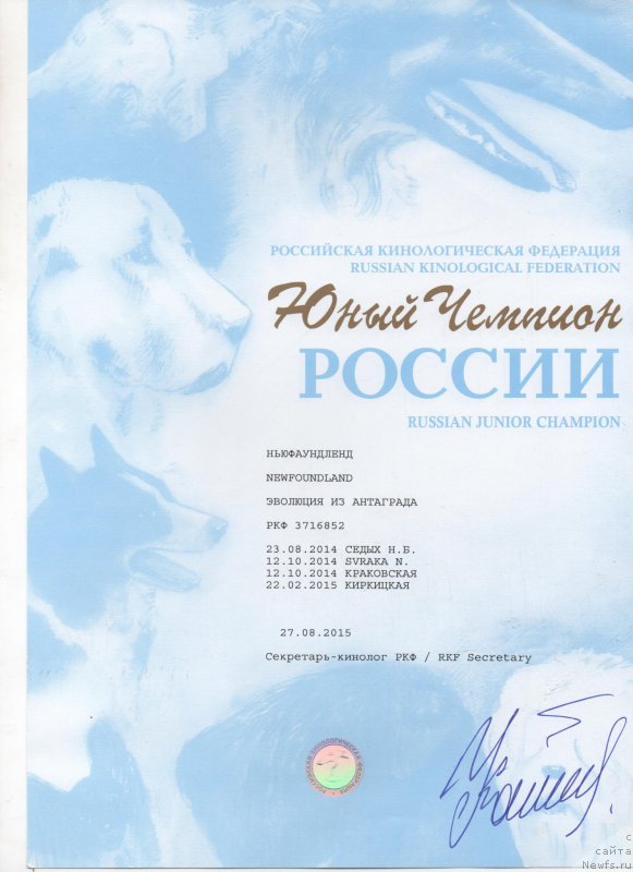 Фото: Наталья Верина