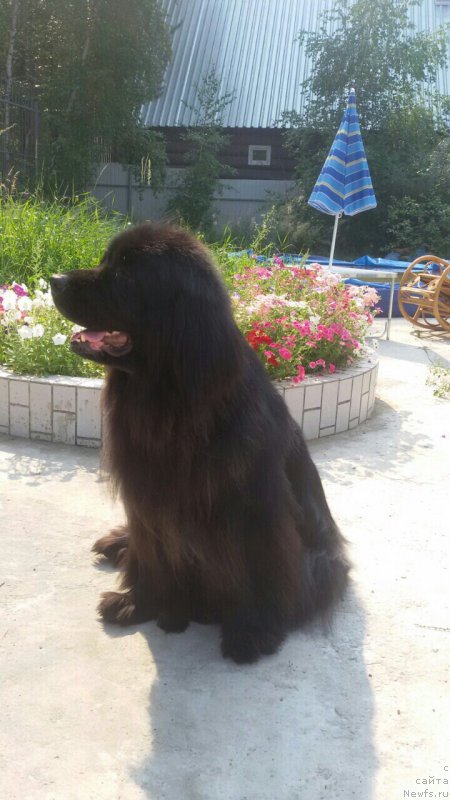 Фотография № 196828