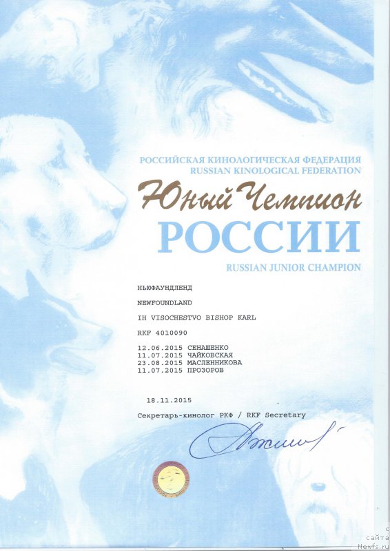 Фото: ньюфаундленд Их Высочество Бишоп Карл (Ih Visochestvo Bishop Karl)