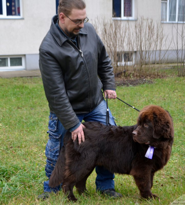 Фотография № 196842