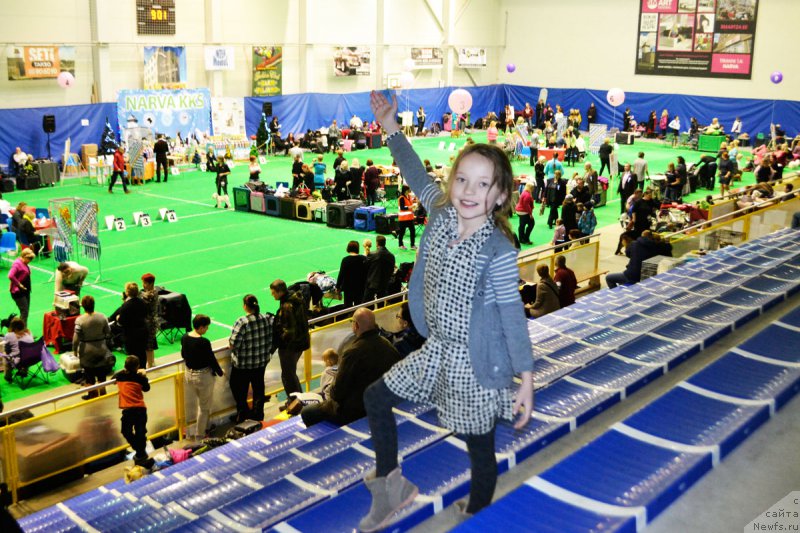 Фотография № 196845