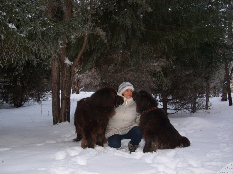 Фото: ньюфаундленд Черный Шарм Амбер Бест Дог ФО Марлеон, ньюфаундленд Аквамариновая Красотка для Марлеон, Татьяна Шайдук