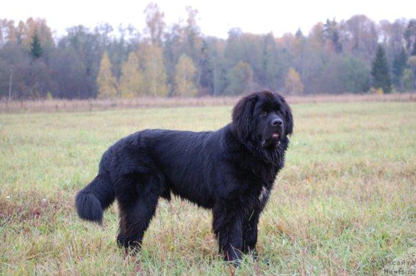 Фотография № 19686